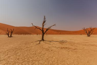 Dead Vlei: Nature's Dry Canvas