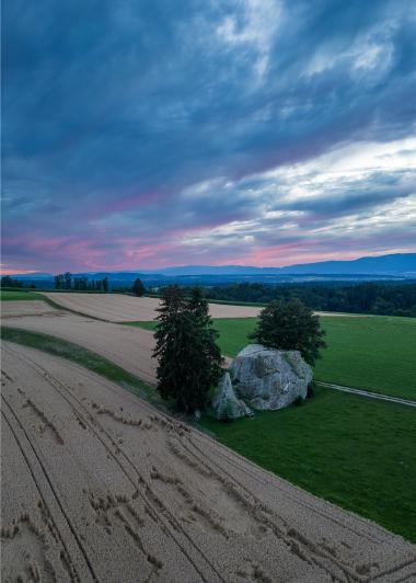 Bezirk Wasseramt