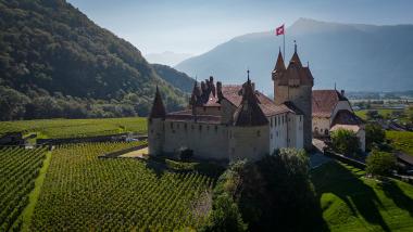 Aigle